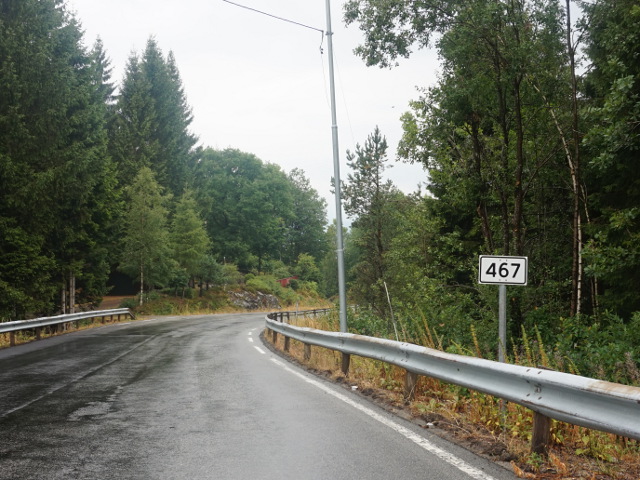 DSC01304x467