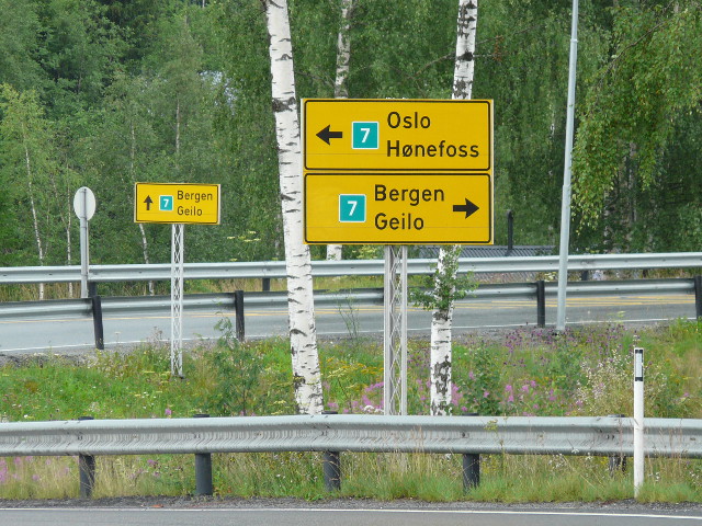 P1180198g7