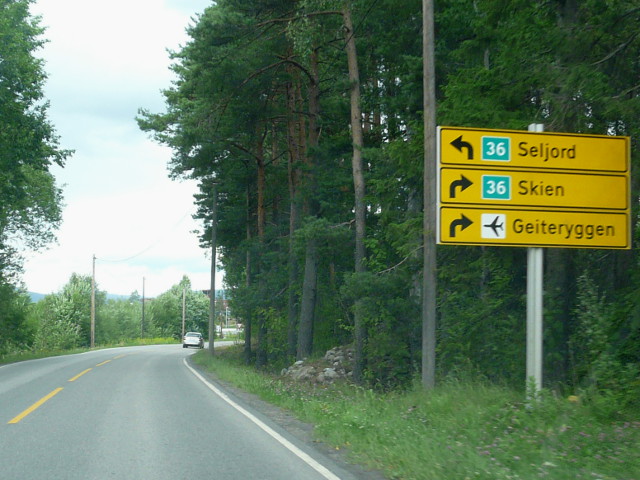 P1180619g36