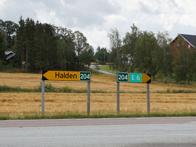 DSC04866g204