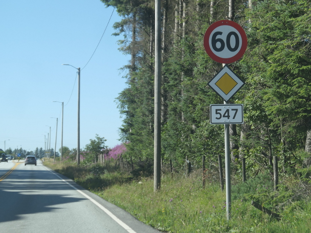 P1300265x547