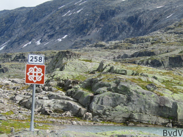 no258_bvdv