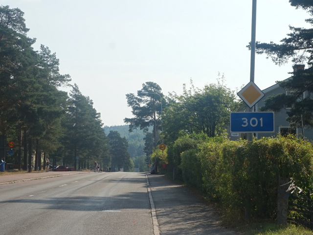 DSC01437x301