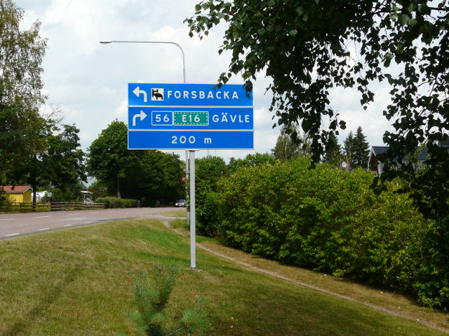 P1080845x56e16