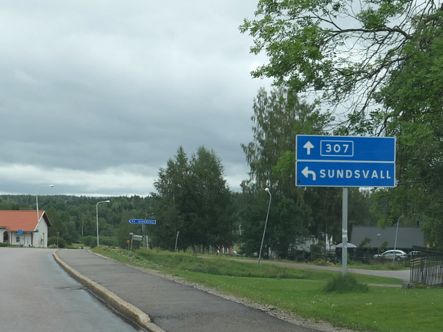 P1100575x307