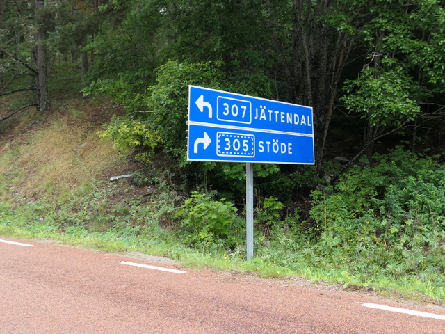 P1100576x307x305