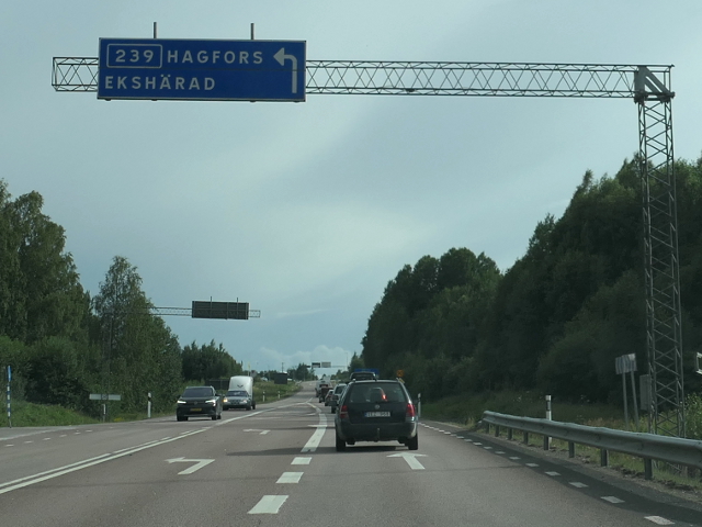 P1100631x239